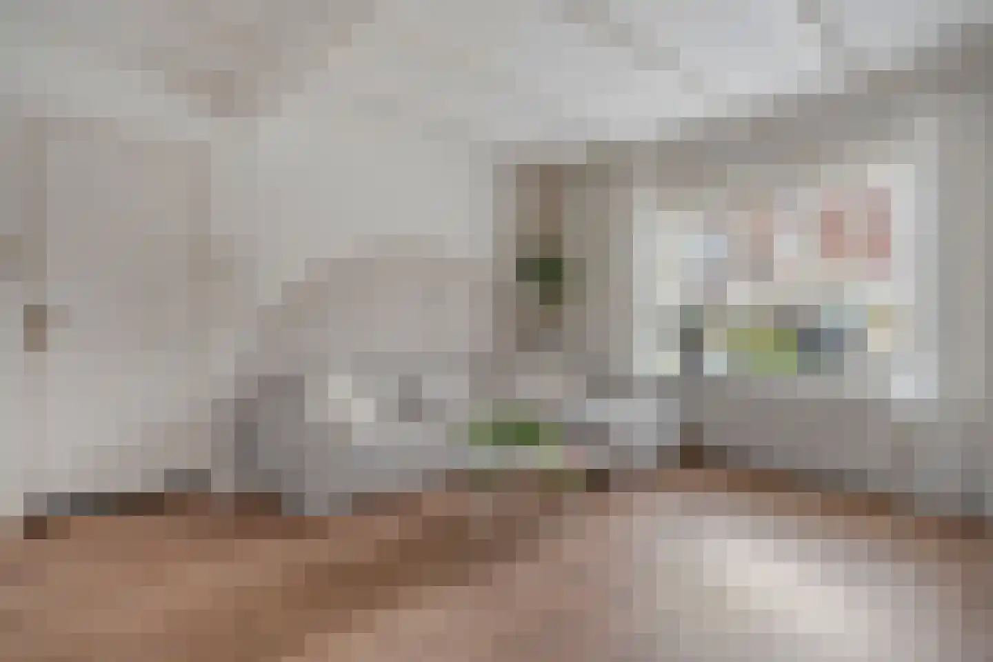 Timorstraat 2 Meppel thumbnail 15