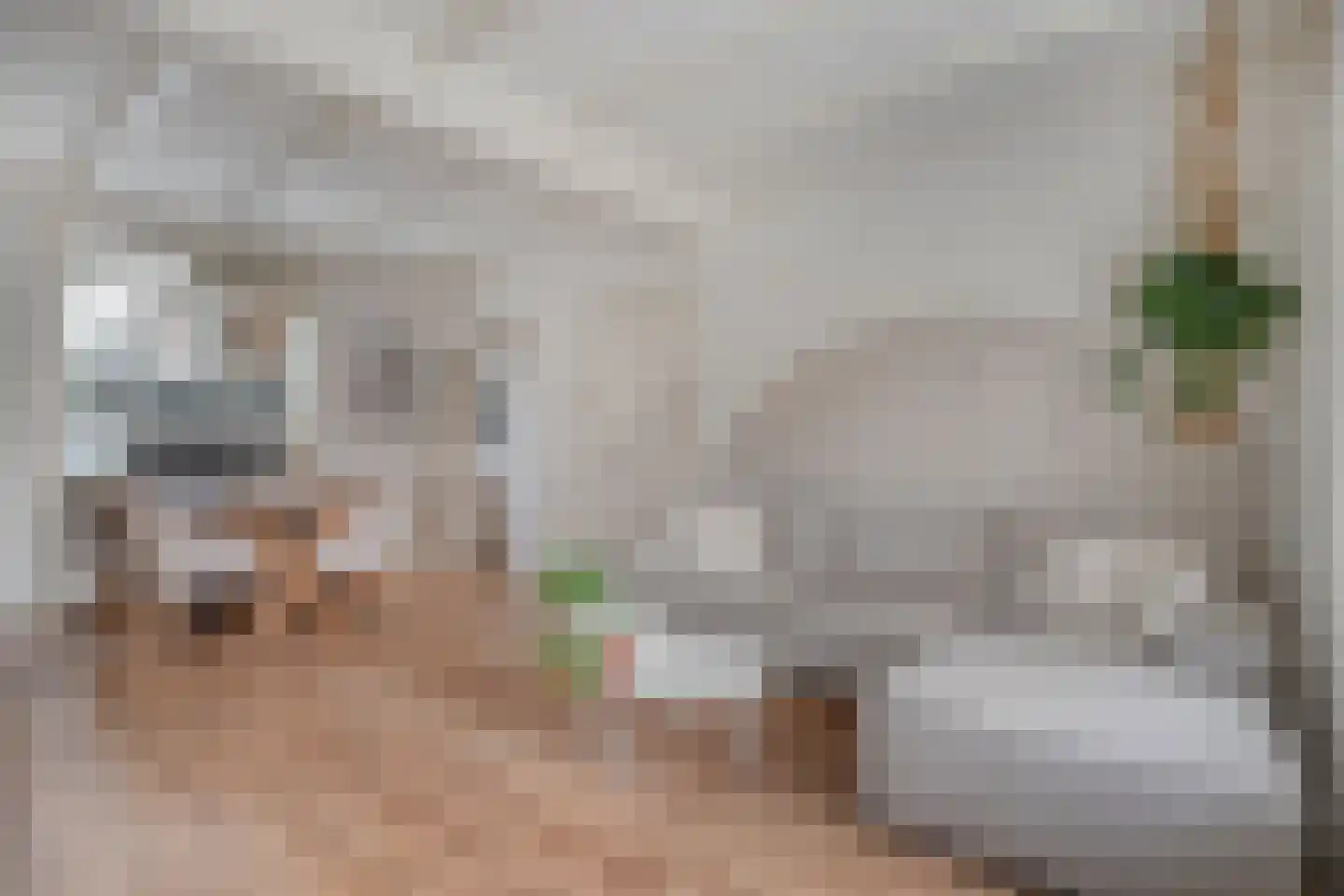 Timorstraat 2 Meppel thumbnail 16