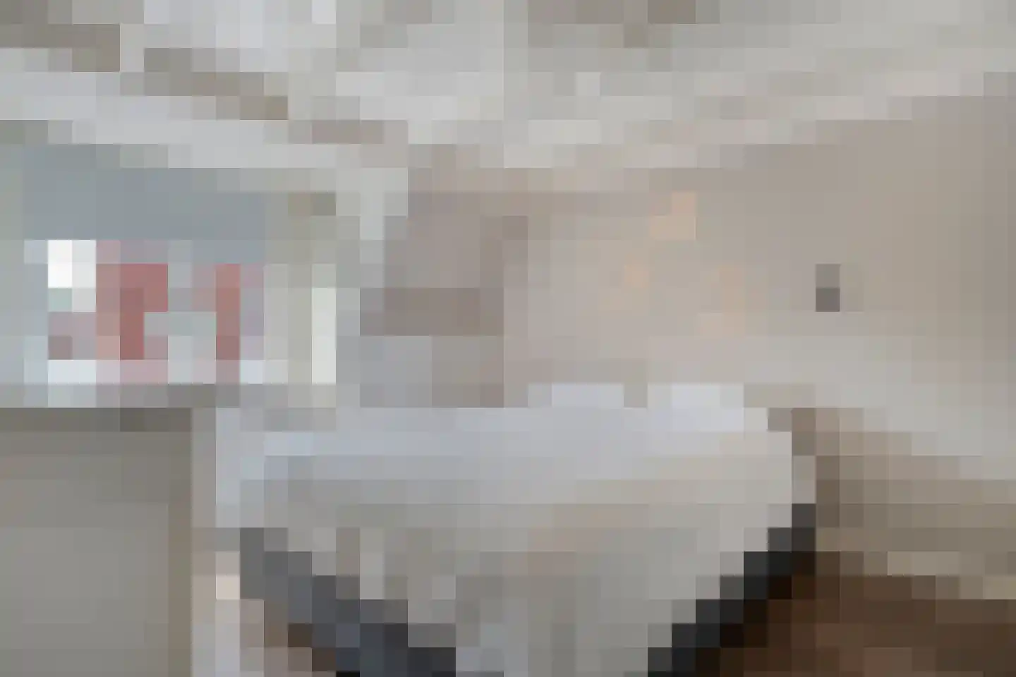 Timorstraat 2 Meppel thumbnail 26