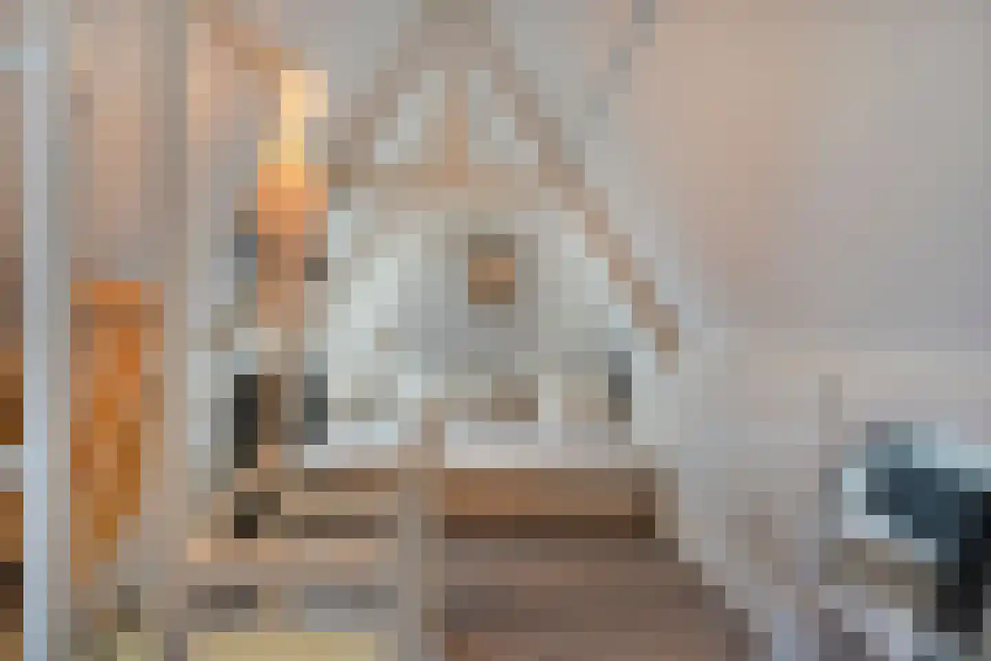 Timorstraat 2 Meppel thumbnail 34