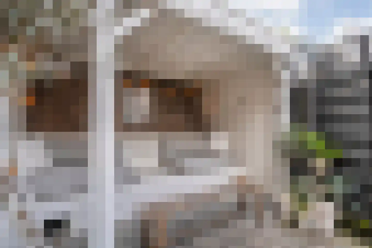 Timorstraat 2 Meppel thumbnail 39