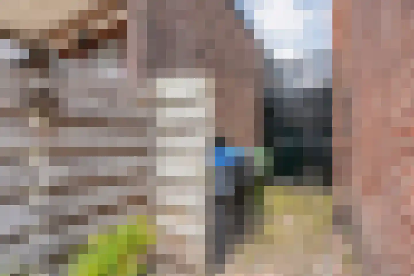 Timorstraat 2 Meppel thumbnail 43