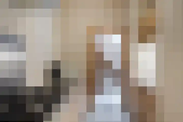 Timorstraat 2 Wormerveer thumbnail 15