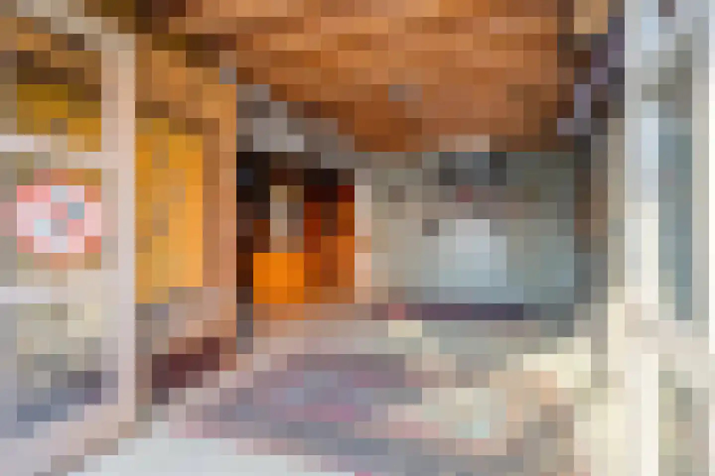 Timorstraat 2 Wormerveer thumbnail 25