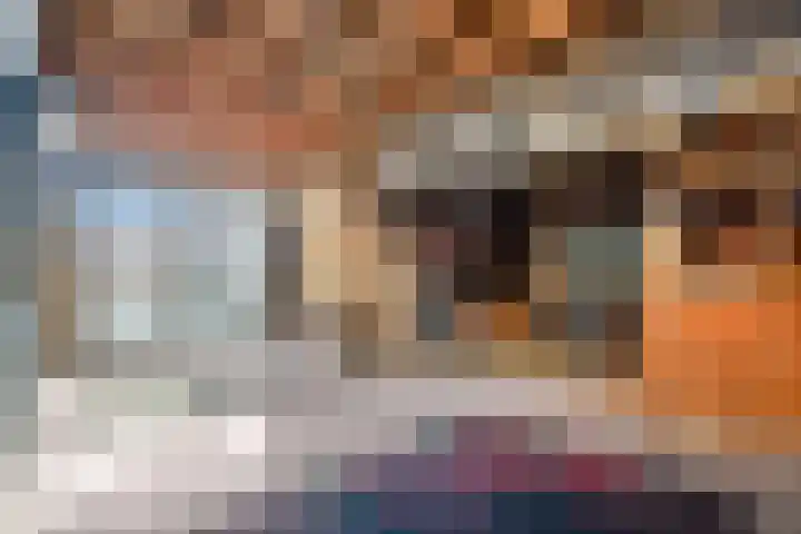 Timorstraat 2 Wormerveer thumbnail 25