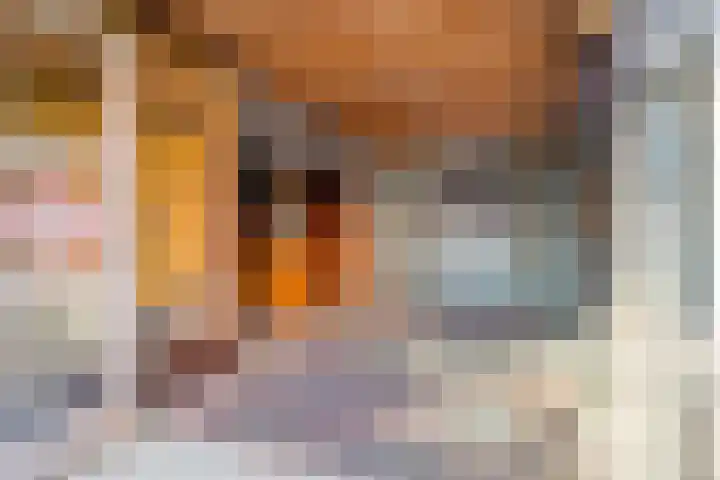 Timorstraat 2 Wormerveer thumbnail 26