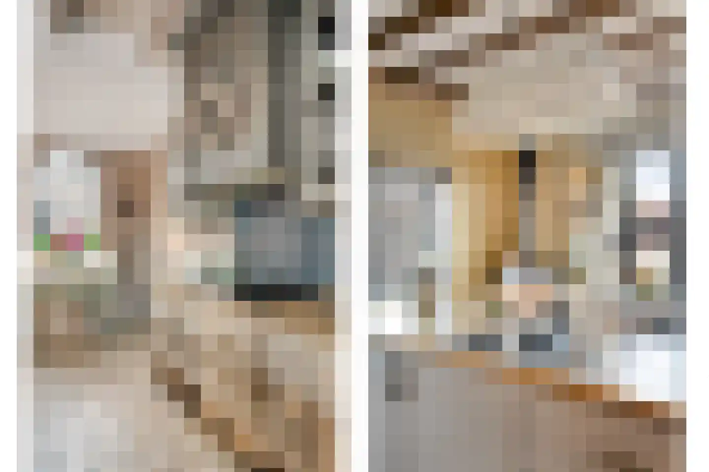 Timorstraat 2 Wormerveer thumbnail 33
