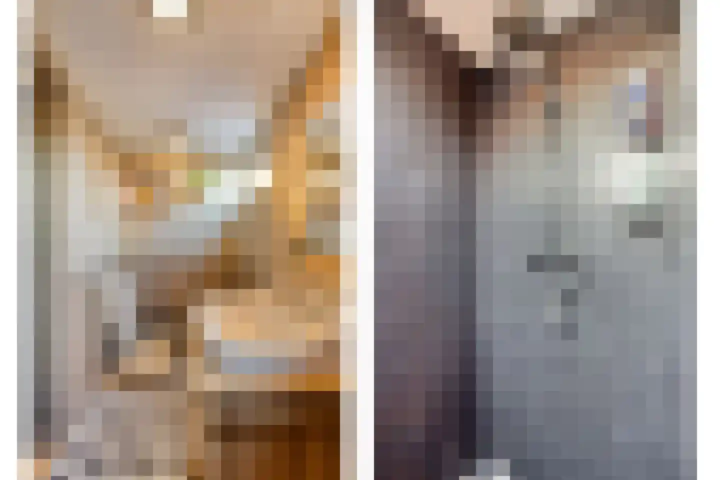 Timorstraat 2 Wormerveer thumbnail 39