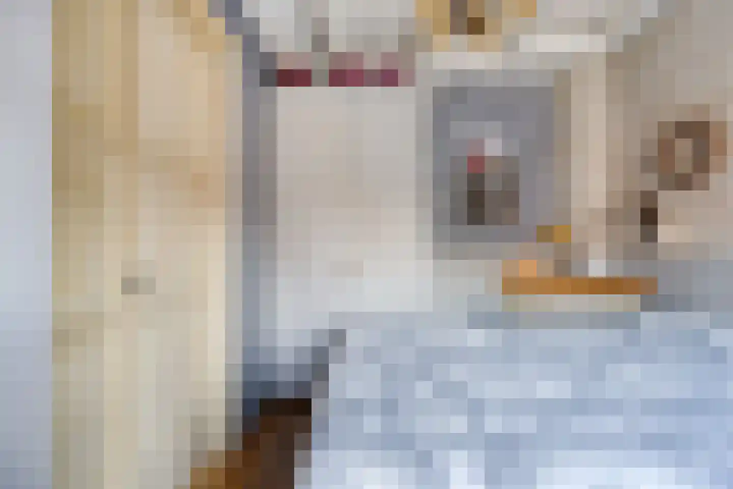 Timorstraat 2 Wormerveer thumbnail 40