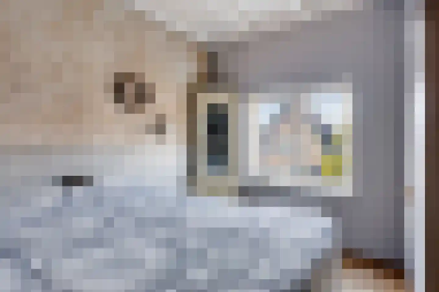 Timorstraat 2 Wormerveer thumbnail 41
