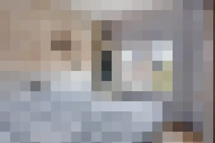 Timorstraat 2 Wormerveer thumbnail 42