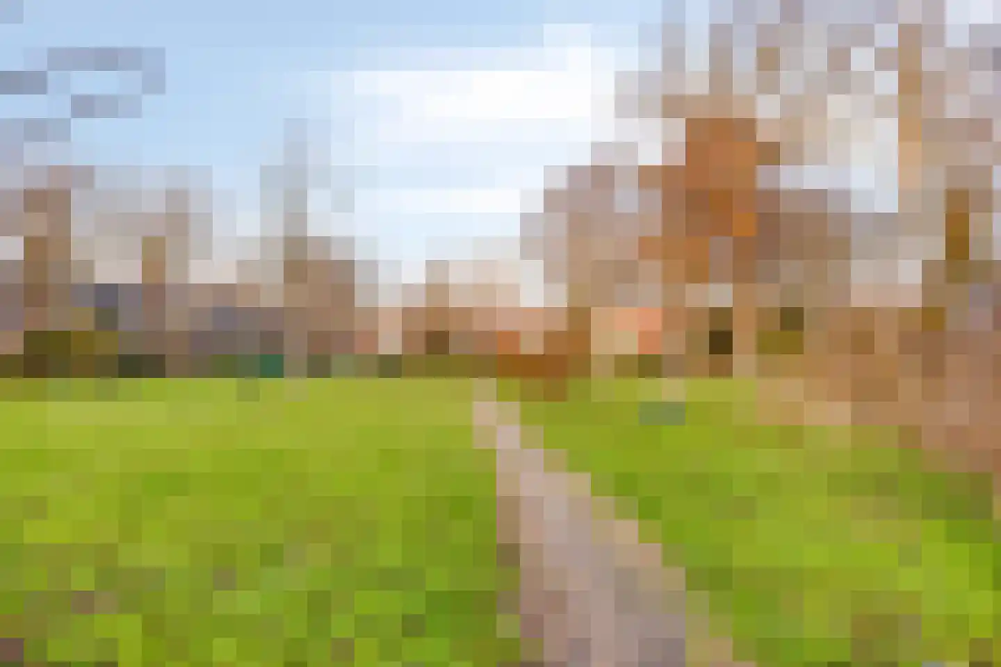 Timorstraat 2 Wormerveer thumbnail 48