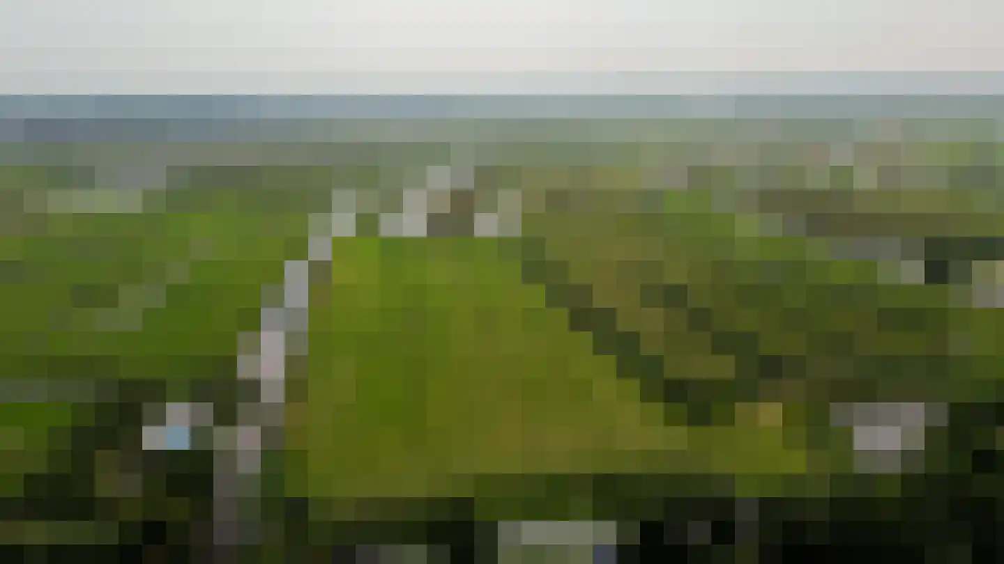 Timorstraat 2 Wormerveer thumbnail 50