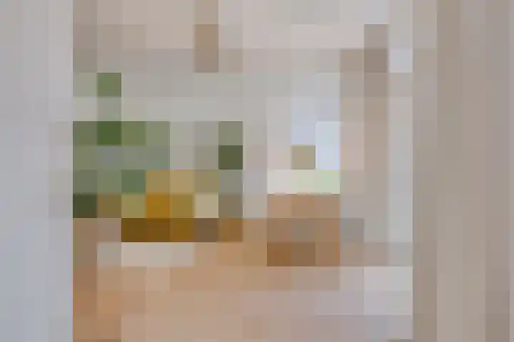Timorstraat 205 Haarlem thumbnail 20