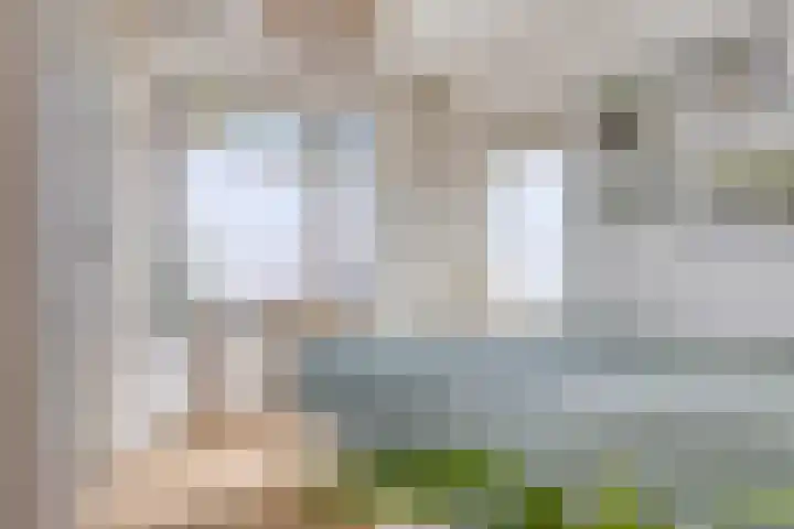 Timorstraat 205 Haarlem thumbnail 25
