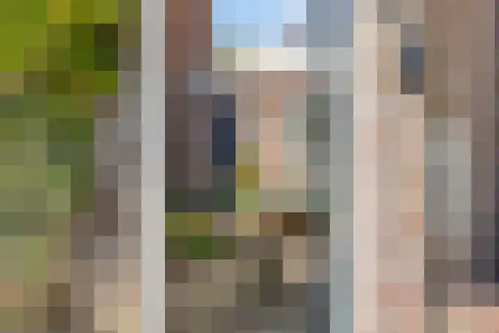 Timorstraat 205 Haarlem thumbnail 30