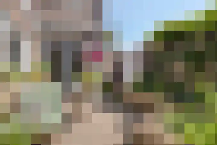 Timorstraat 205 Haarlem thumbnail 32