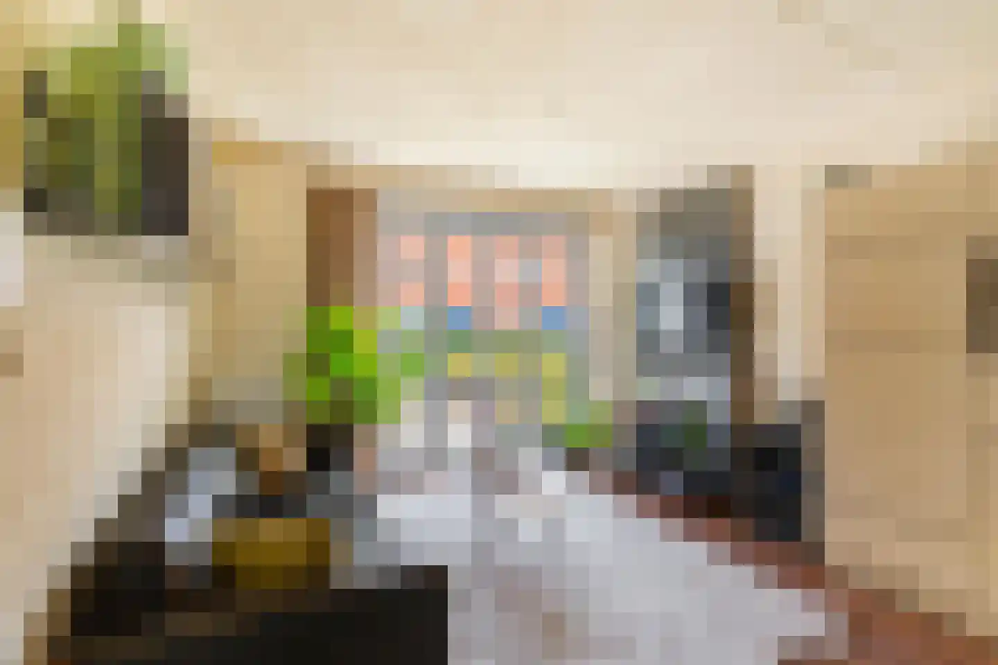 Timorstraat 26 Groningen thumbnail 8
