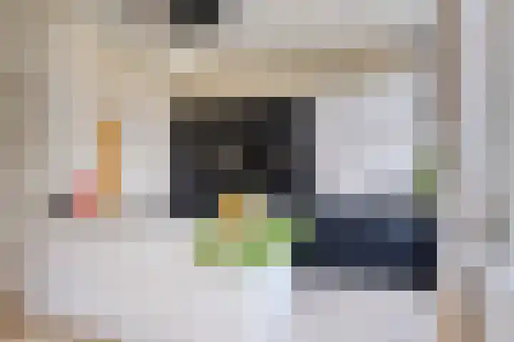 Timorstraat 32 Nijmegen thumbnail 9