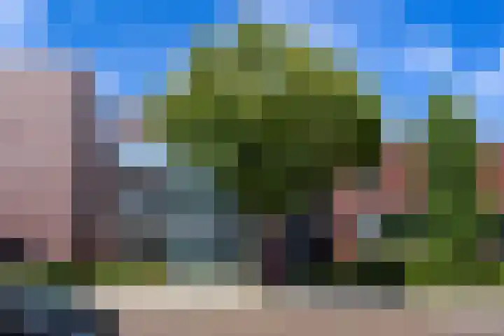 Timorstraat 34 in Groningen