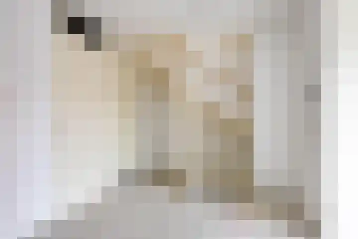 Timorstraat 34 Groningen thumbnail 14