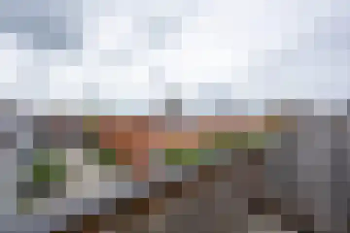 Timorstraat 34 Groningen thumbnail 20