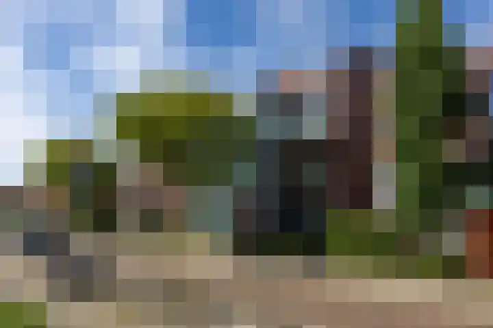 Timorstraat 34 Groningen thumbnail 23
