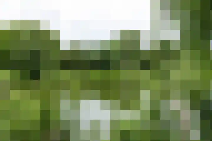 Timorstraat 34 Groningen thumbnail 24