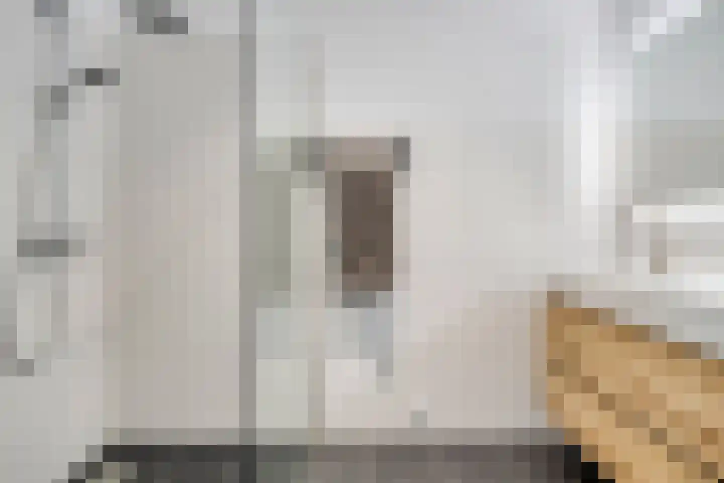 Timorstraat 35 Maastricht thumbnail 14