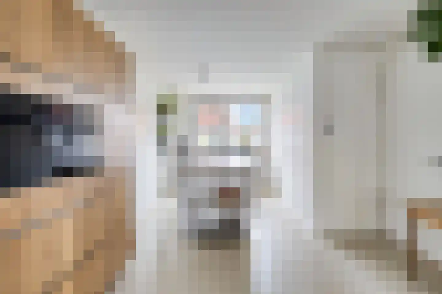 Timorstraat 35 Maastricht thumbnail 8