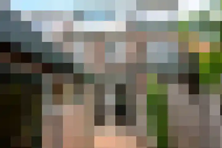 Timorstraat 38 Leiden thumbnail 13