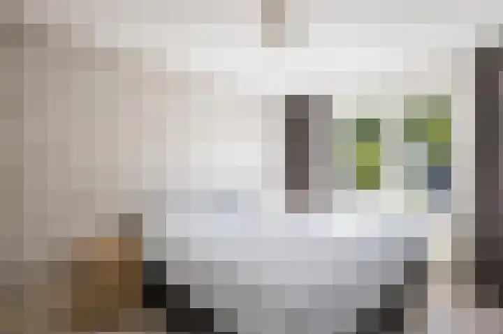 Timorstraat 4 Hengelo thumbnail 30
