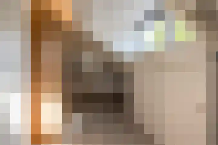Timorstraat 4 Hengelo thumbnail 41
