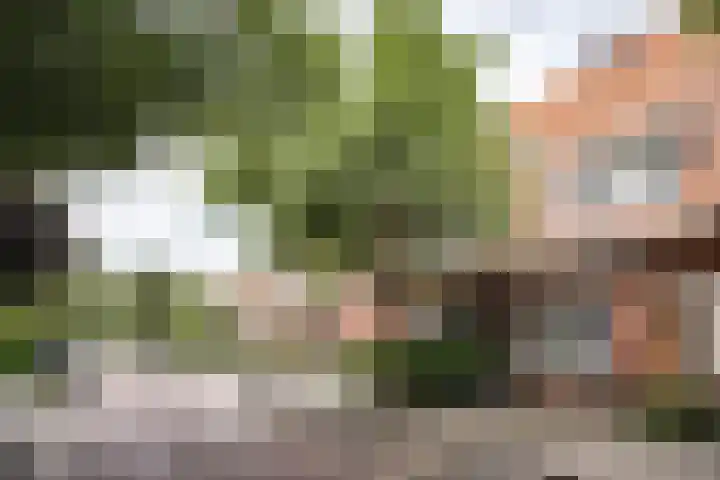 Timorstraat 43 Heemstede thumbnail 28