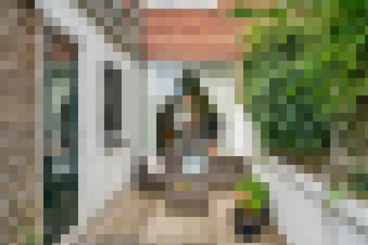 Timorstraat 46 Leiden thumbnail 30