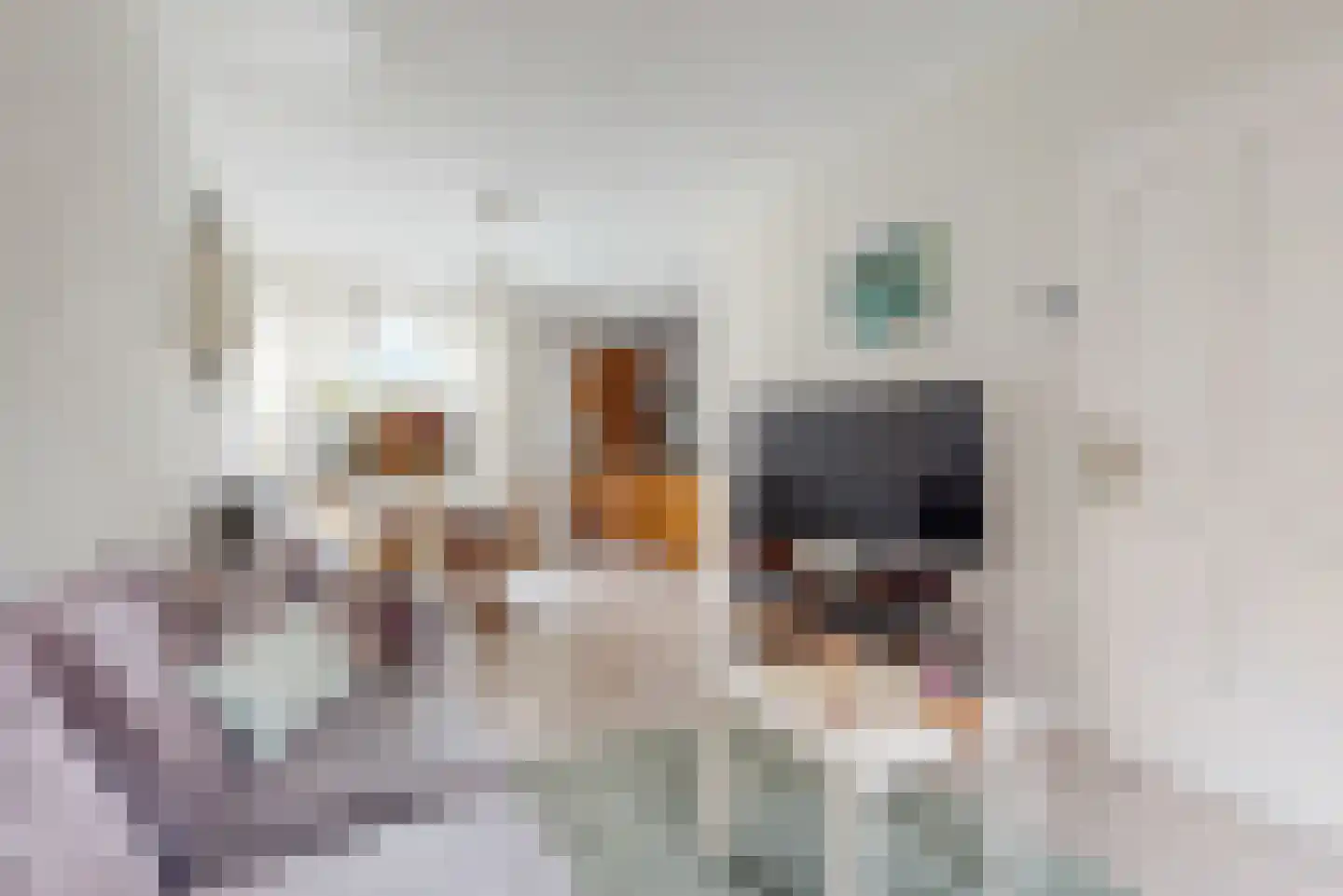 Timorstraat 46 Leiden thumbnail 7
