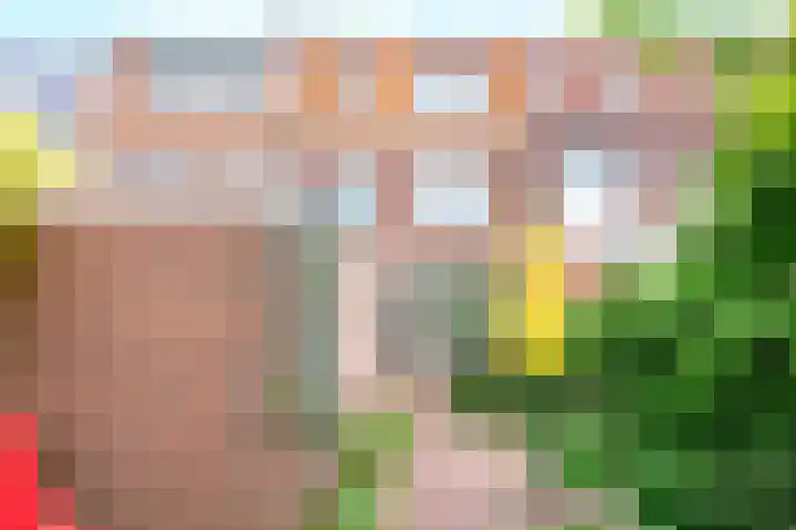Timorstraat 49 Haarlem thumbnail 22