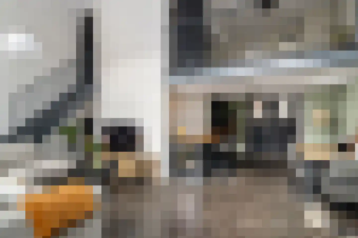 Timorstraat 5 A Dordrecht thumbnail 10
