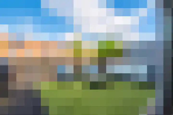 Timorstraat 50 Groningen thumbnail 31