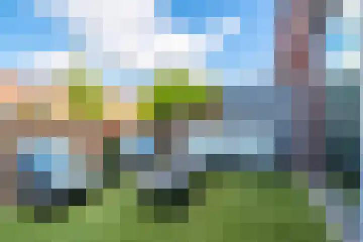 Timorstraat 50 Groningen thumbnail 32