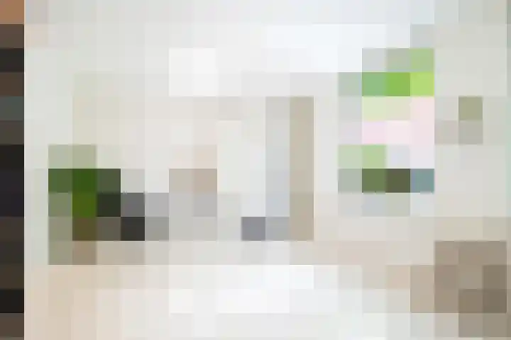 Timorstraat 50 Groningen thumbnail 49