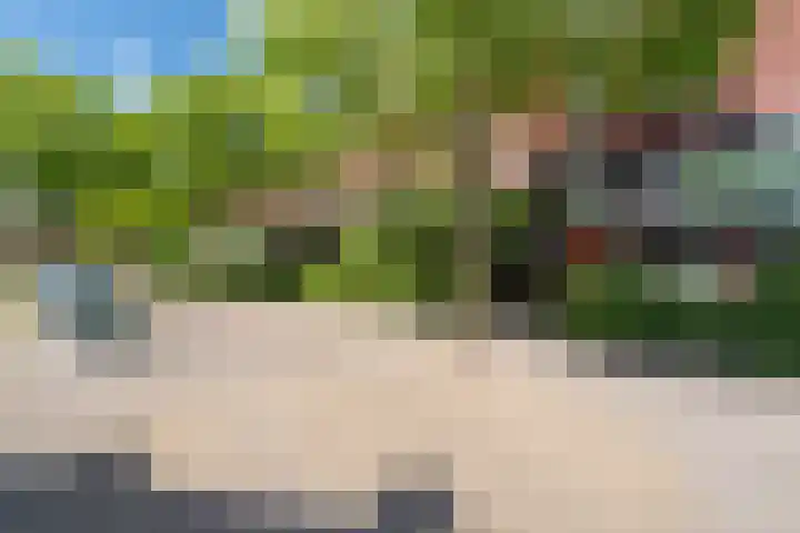 Timorstraat 50 Groningen thumbnail 61