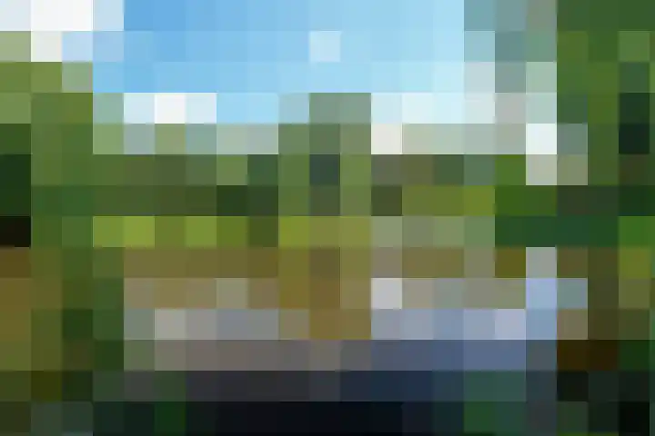 Timorstraat 50 Groningen thumbnail 63