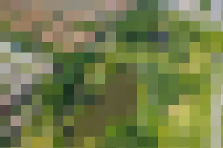 Timorstraat 50 Groningen thumbnail 64