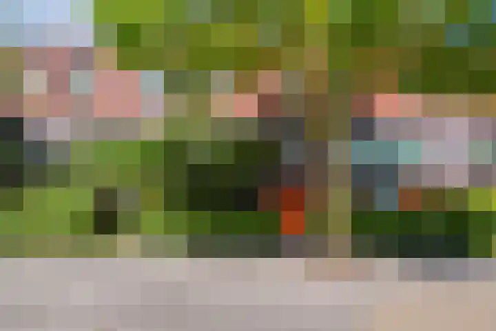 Timorstraat 50 Groningen thumbnail 8