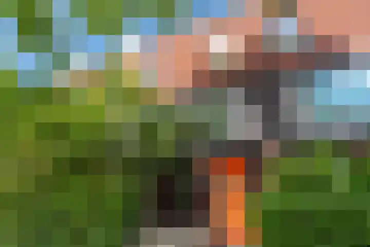 Timorstraat 50 Groningen thumbnail 9