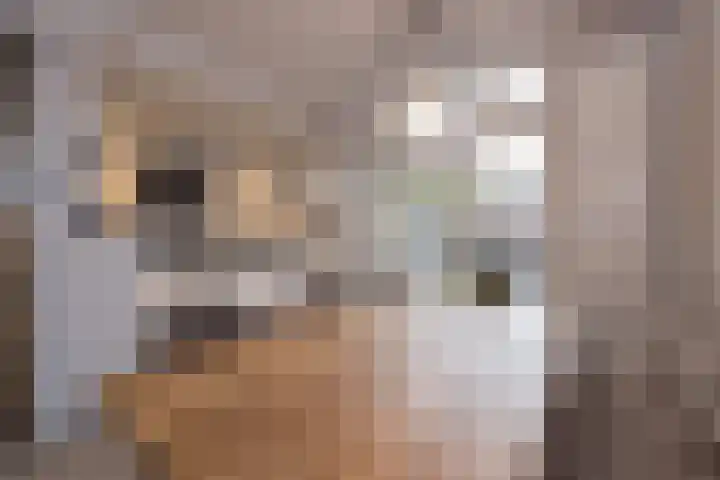 Timorstraat 50 Heemstede thumbnail 11
