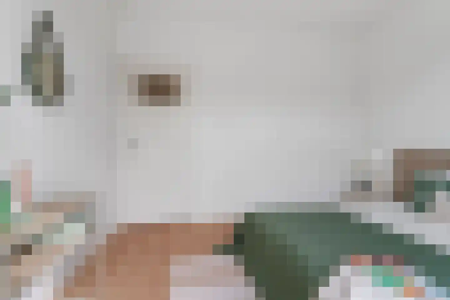 Timorstraat 6 Nijmegen thumbnail 32