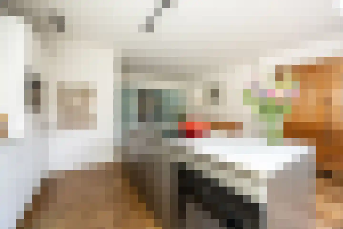 Timorstraat 63 Haarlem thumbnail 17