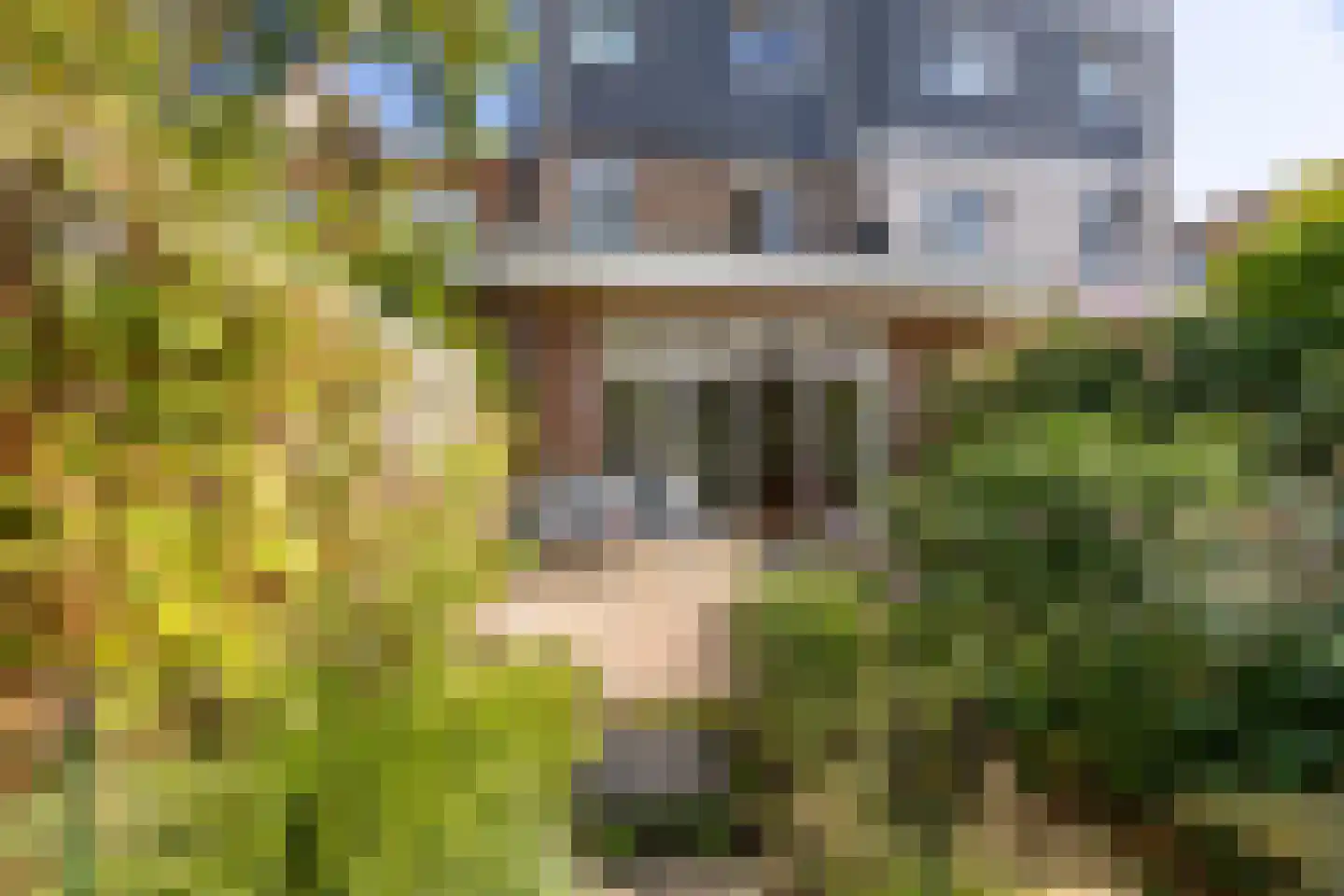Timorstraat 63 Haarlem thumbnail 21